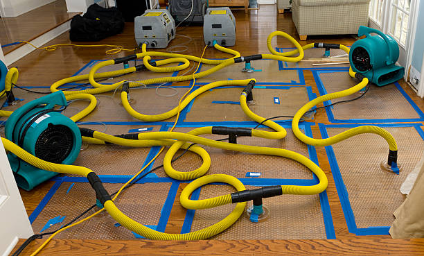 Professional Water Damage Restoration technician working in Carnelian Bay, CA